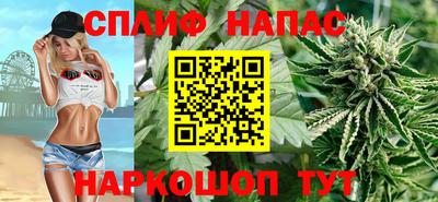 гидра Беслан