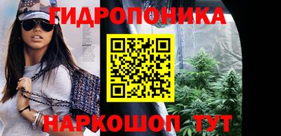 гидра Беслан