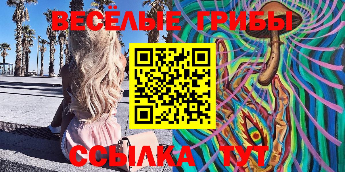 Галлюциногенные грибы Cubensis  Вход с VPN  купить  сайты  Каменск-Шахтинский 